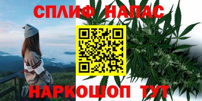 бошки Ярославль