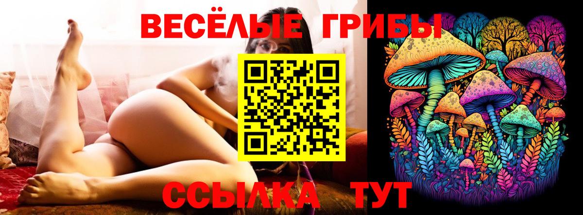 Псилоцибиновые грибы Magic Shrooms Гулькевичи