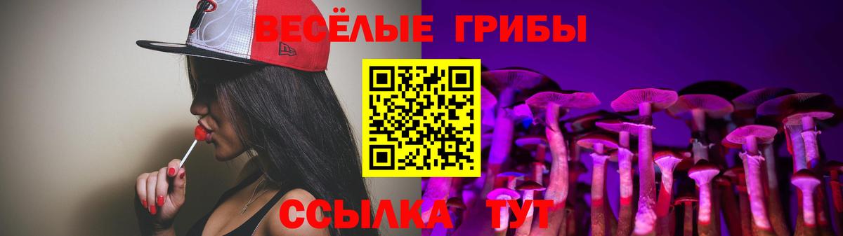 Псилоцибиновые грибы Psilocybine cubensis  Вход с VPN  Гулькевичи 